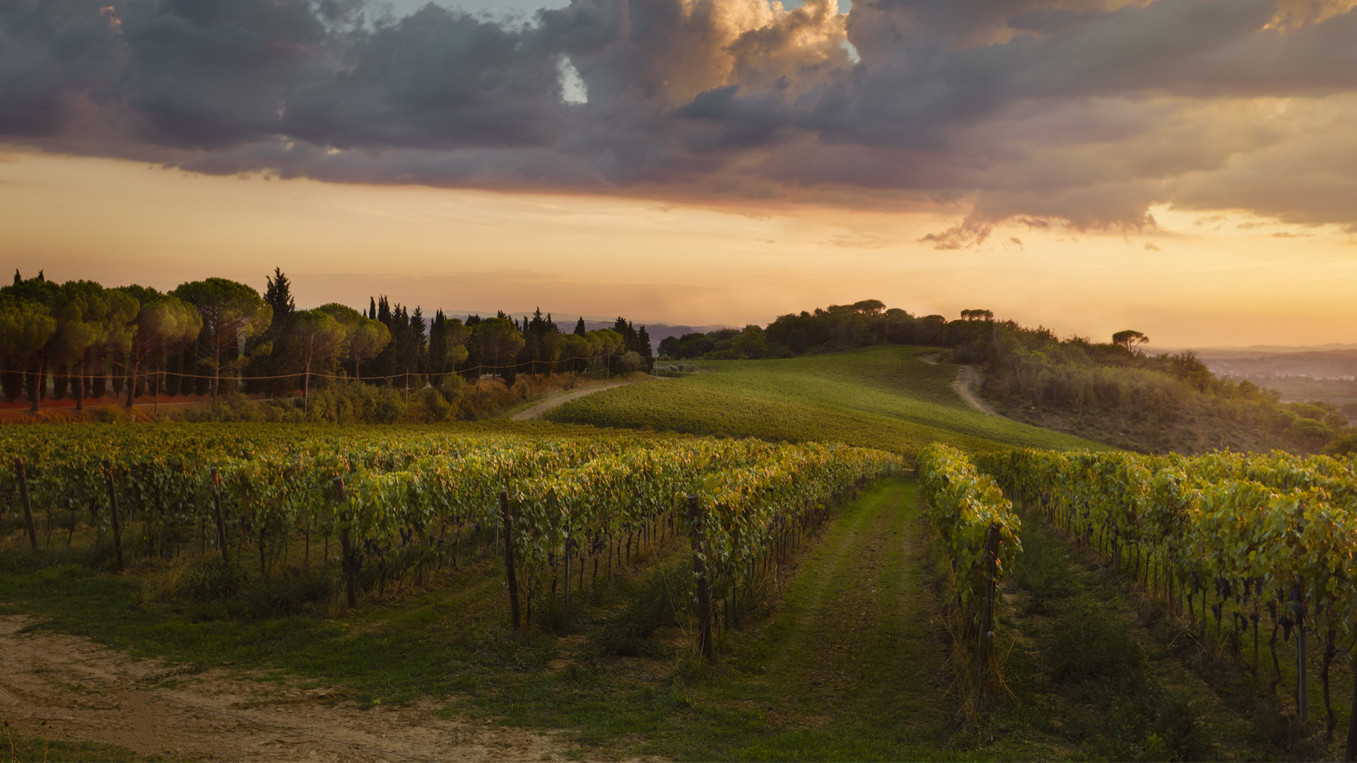 Chianti Colli Fiorentini Il Vino Di Firenze Tenta La Carica Alla 