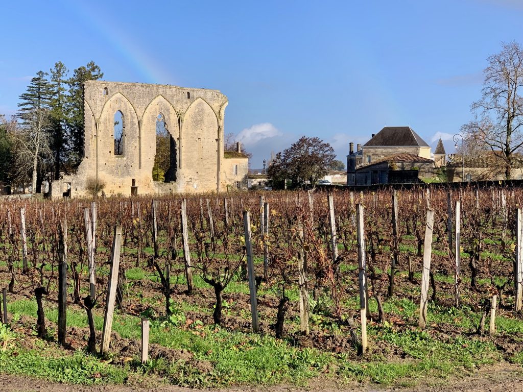 Vineyard of Clos Fourtet