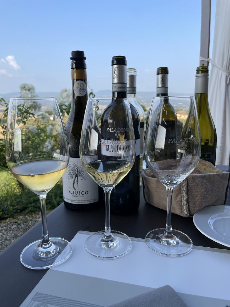 Degustazione presso Az. Palazzone