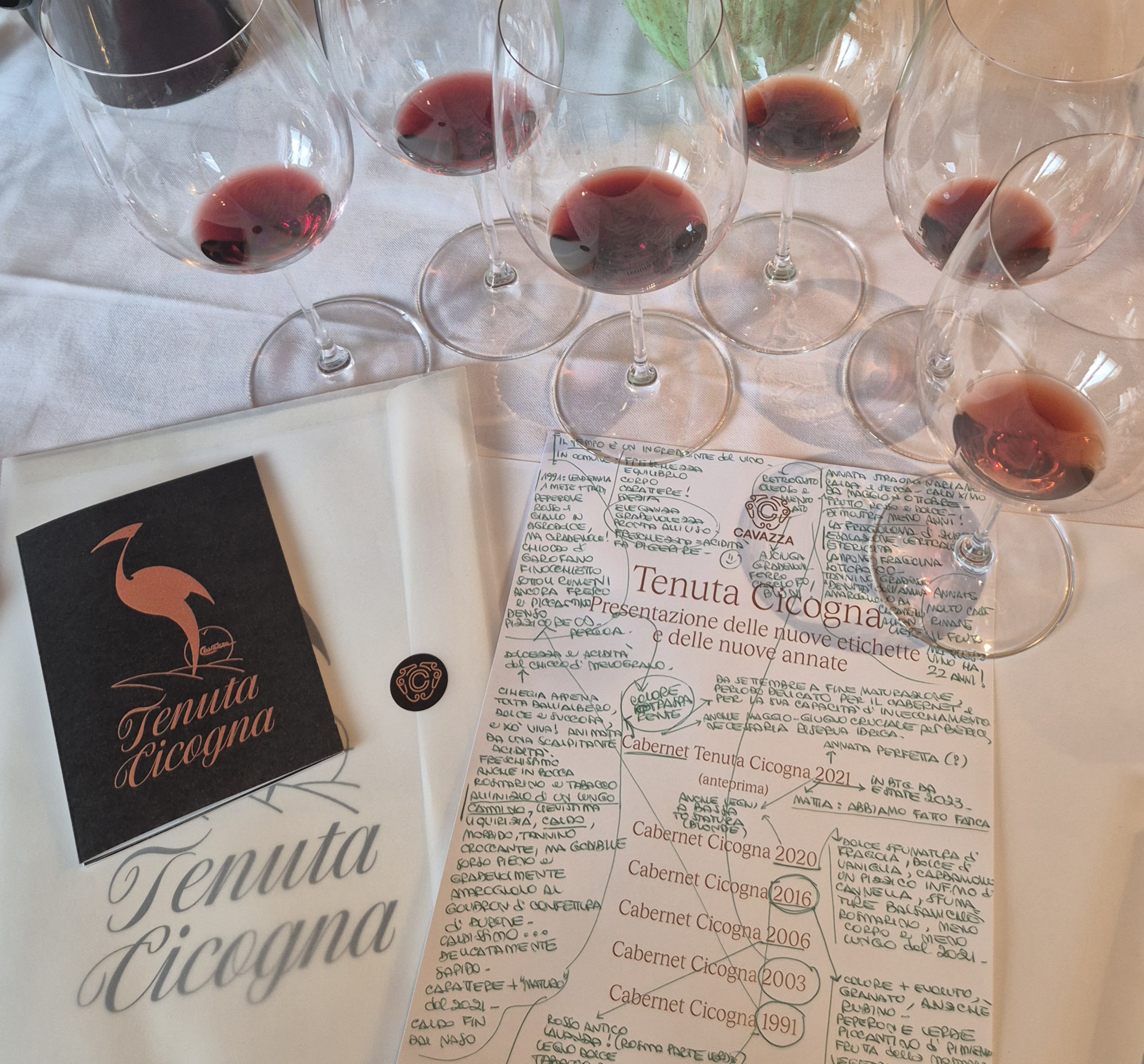 Cavazza, Tenuta Cicogna and the long life of Colli Berici DOC red wines