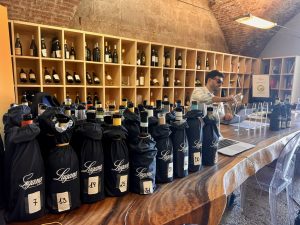 Degustazione Lugana 2025