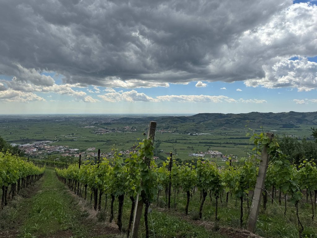 Zona Roncà