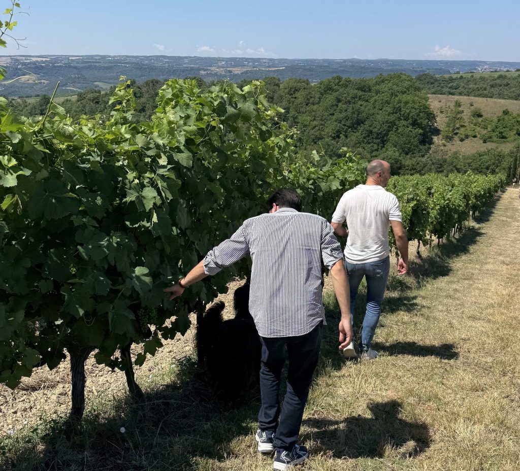In vigna con Enzo Barbi
