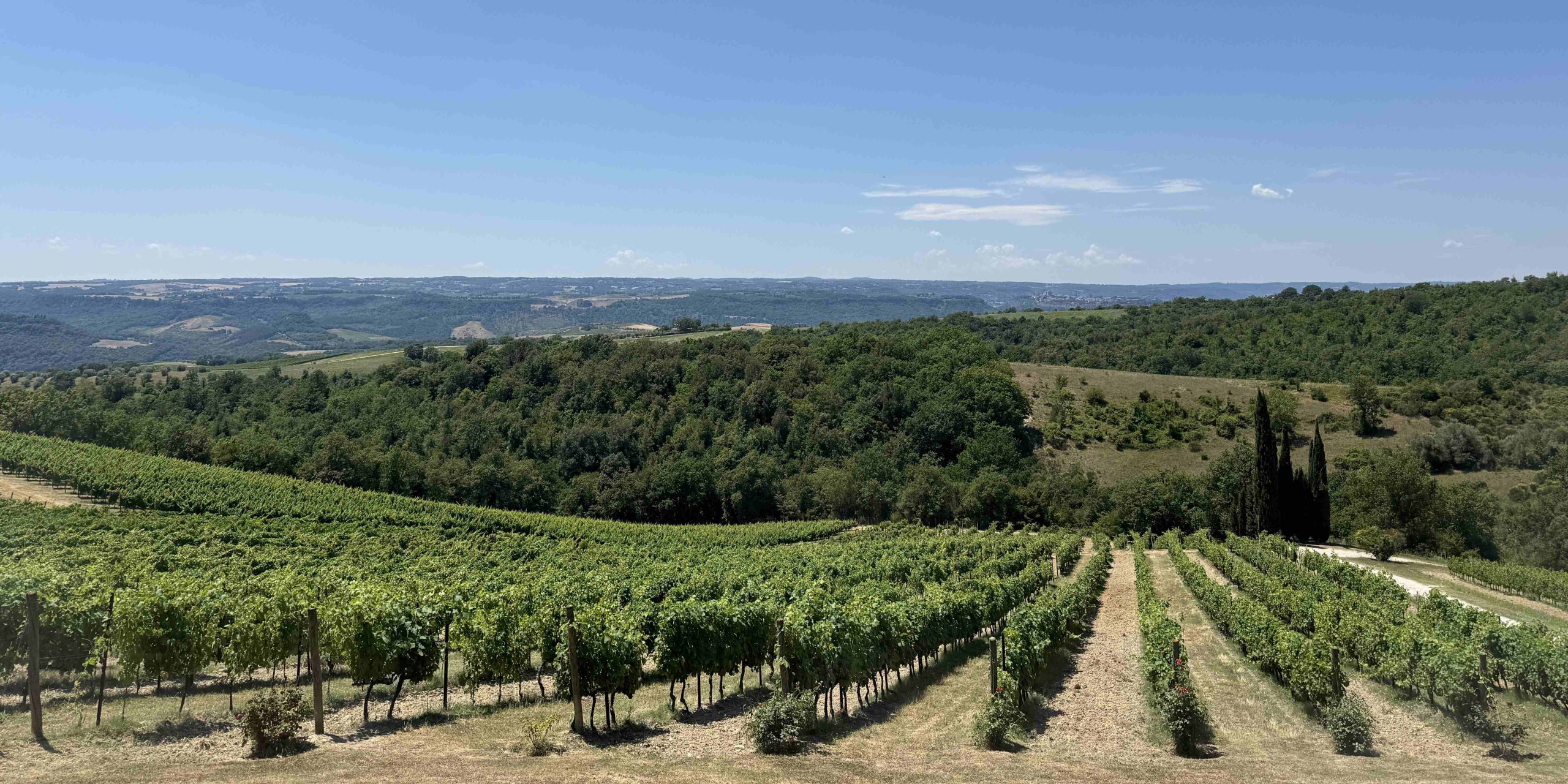 Orvieto, the mosaic of differences. The challenge of describing a territory that is not just “one”. Orvieto, the mosaic of differences. The challenge of describing a territory that is not just “one”.