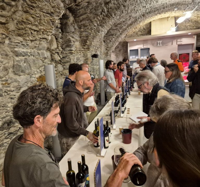 Degustazione Vini Valtellina